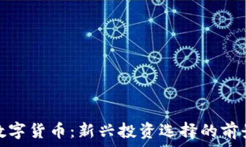   
佳力图数字货币：新兴投资选择的前景与风险