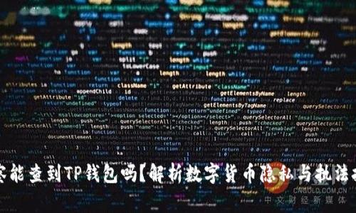 警察能查到TP钱包吗？解析数字货币隐私与执法挑战