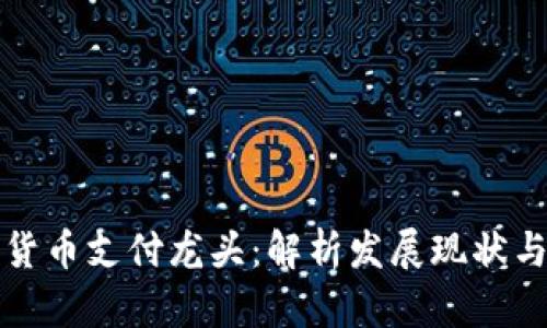 中国数字货币支付龙头：解析发展现状与未来趋势