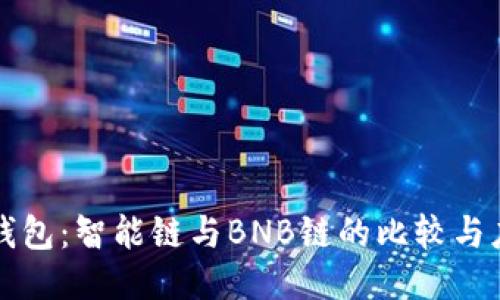TP钱包：智能链与BNB链的比较与应用