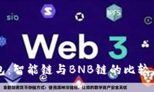 TP钱包：智能链与BNB链的比较与应用