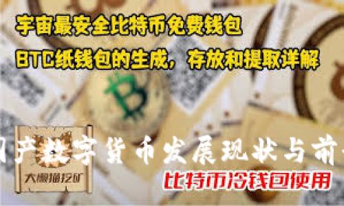 国产数字货币发展现状与前景