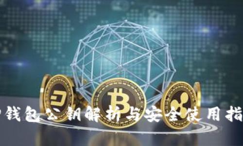 TP钱包公钥解析与安全使用指南