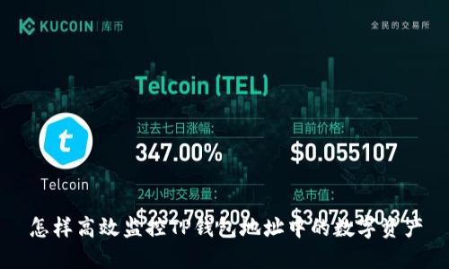怎样高效监控TP钱包地址中的数字资产