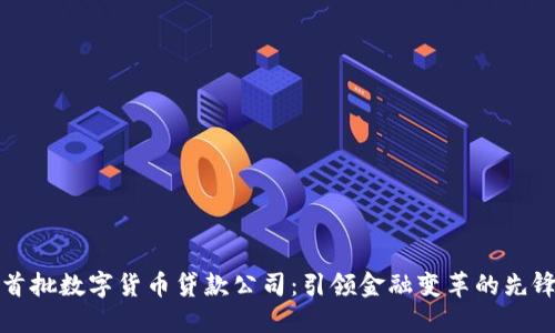 全国首批数字货币贷款公司：引领金融变革的先锋力量