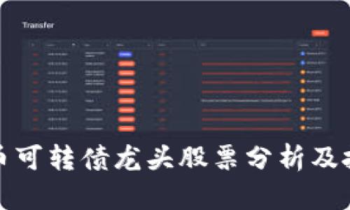 数字货币可转债龙头股票分析及投资指南