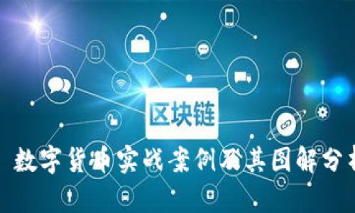 : 数字货币实战案例及其图解分析