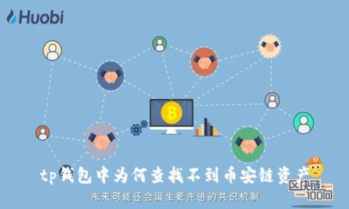 tp钱包中为何查找不到币安链资产