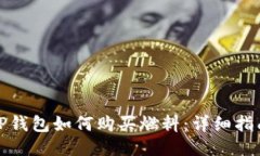 TP钱包如何购买燃料：详细指南