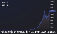 湖北数字货币购买房产的未来：机遇与挑战