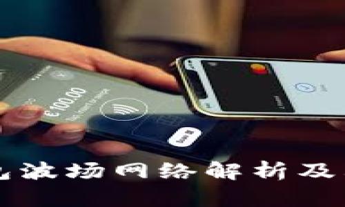 TP钱包波场网络解析及其应用