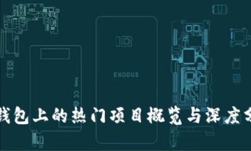 tp钱包上的热门项目概览与深度分析