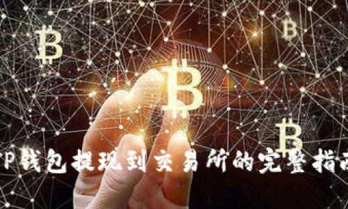 TP钱包提现到交易所的完整指南