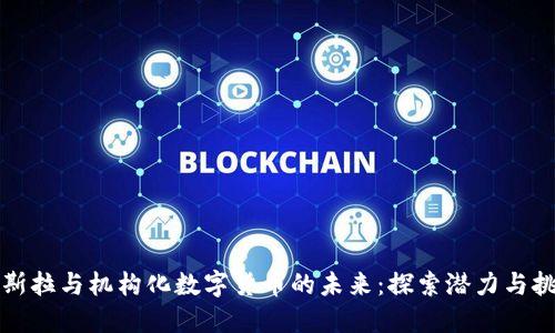 特斯拉与机构化数字货币的未来：探索潜力与挑战