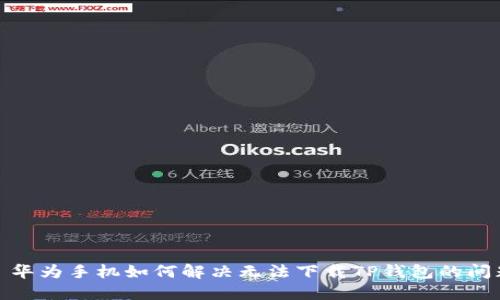 : 华为手机如何解决无法下载TP钱包的问题