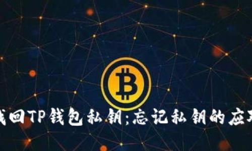 如何找回TP钱包私钥：忘记私钥的应对策略
