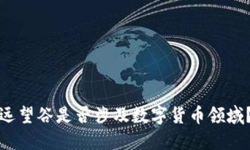 远望谷是否涉及数字货币领域？