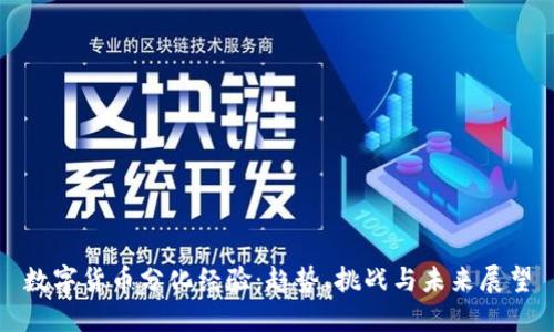 数字货币分化经验：趋势、挑战与未来展望