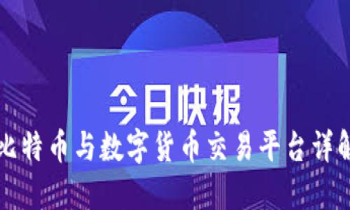 比特币与数字货币交易平台详解