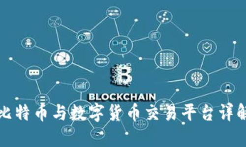 比特币与数字货币交易平台详解