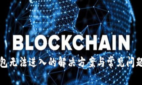 TP钱包无法进入的解决方案与常见问题解析