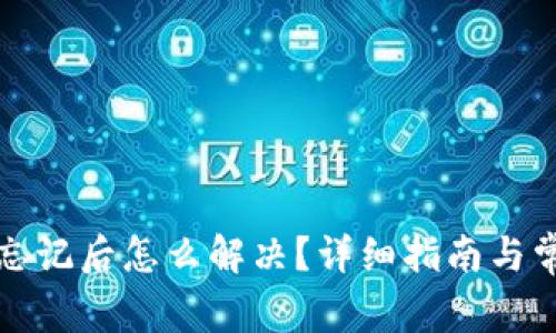 TP钱包密码忘记后怎么解决？详细指南与常见问题解答