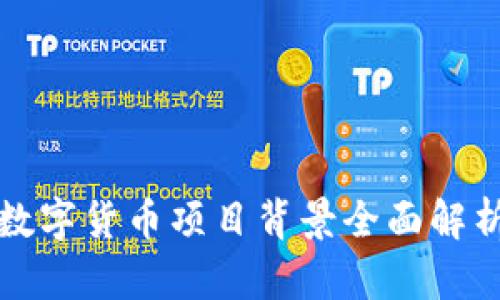 数字货币项目背景全面解析