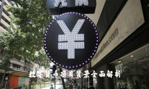 数字货币项目背景全面解析