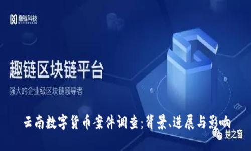 云南数字货币案件调查：背景、进展与影响