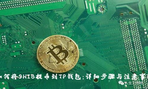 如何将SHIB提币到TP钱包：详细步骤与注意事项