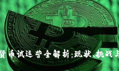 数字货币试运营全解析：现状、挑战与未来