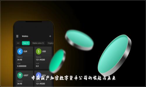 中国国产加密数字货币公司的崛起与未来