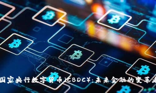 国家央行数字货币（CBDC）：未来金融的变革者
