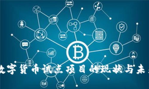中国数字货币试点项目的现状与未来展望