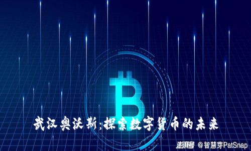 武汉奥沃斯：探索数字货币的未来