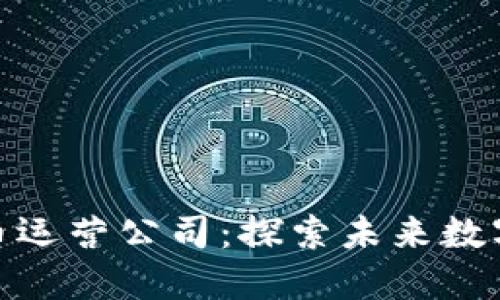 海南数字货币运营公司：探索未来数字经济新机遇