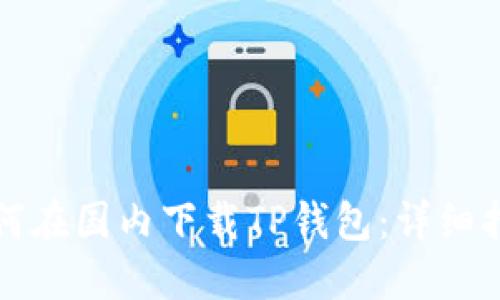 如何在国内下载TP钱包：详细指南