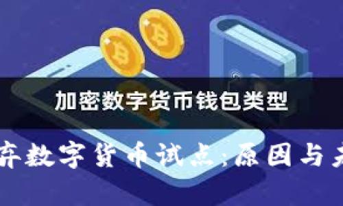 京东放弃数字货币试点：原因与未来展望