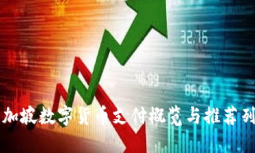 新加坡数字货币支付概览与推荐列表
