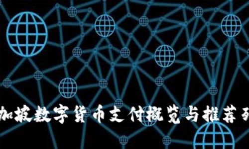 新加坡数字货币支付概览与推荐列表