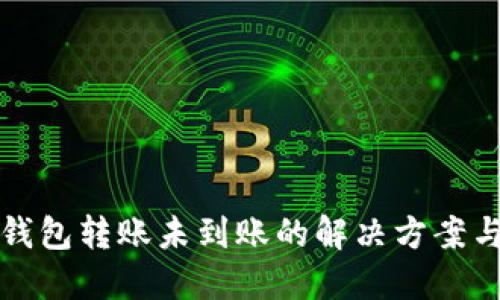 TP冷钱包转账未到账的解决方案与指导