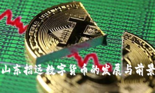 山东招远数字货币的发展与前景