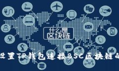 在电脑上设置TP钱包连接BSC区块链的详细指南