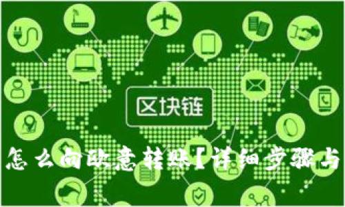: TP钱包怎么向欧意转账？详细步骤与注意事项