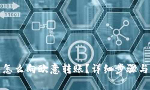 : TP钱包怎么向欧意转账？详细步骤与注意事项