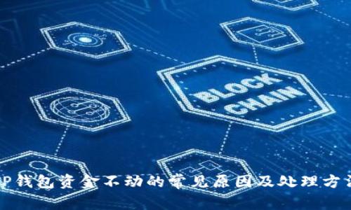 TP钱包资金不动的常见原因及处理方法