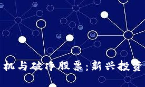 数字货币危机与破净股票：新兴投资方向的探索