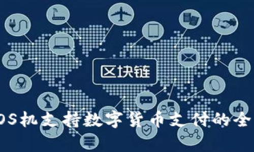 建行POS机支持数字货币支付的全面解析