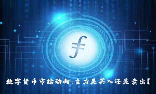 数字货币市场动向：主力是买入还是卖出？