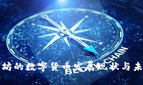 山东潍坊的数字货币发展现状与未来前景